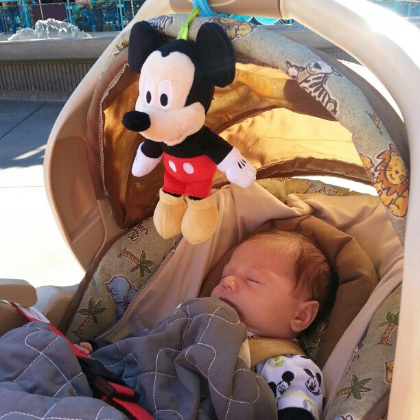 4 weeks old at Disneyland